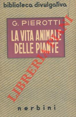 Libreria Piani