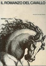 Il romanzo del cavallo