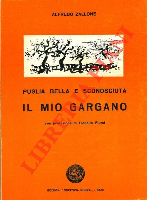 Libreria Piani