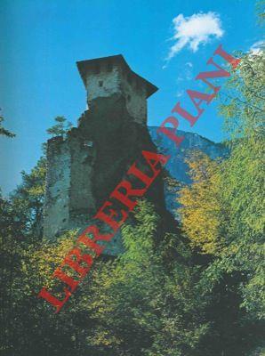 Libreria Piani