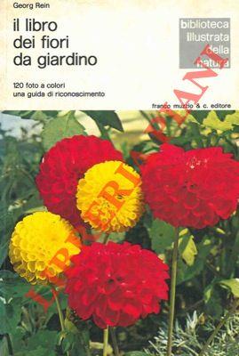 Libreria Piani