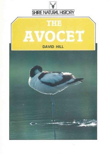 The avocet - David Hill - copertina