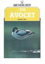 The avocet