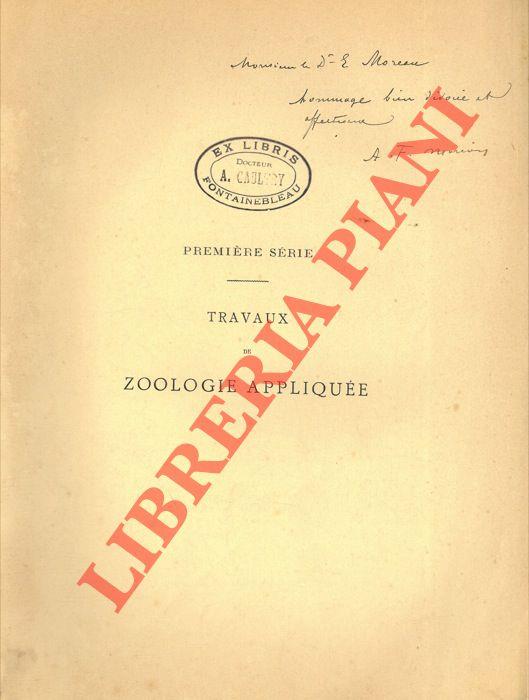 Libreria Piani