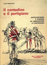 Il contadino e il partigiano. Antifascismo e guerra di Liberazione a Castenaso