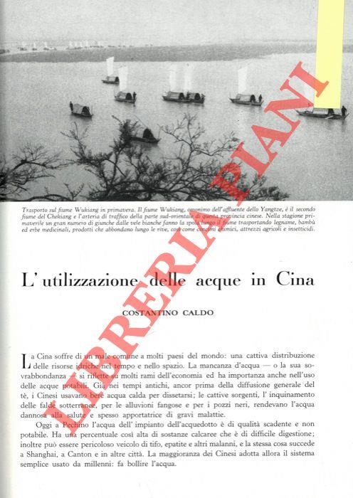 Libreria Piani