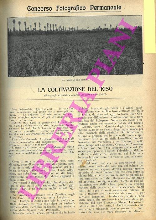 La coltivazione del riso - Roberto Dosi - copertina