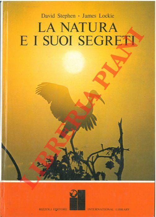 Libreria Piani