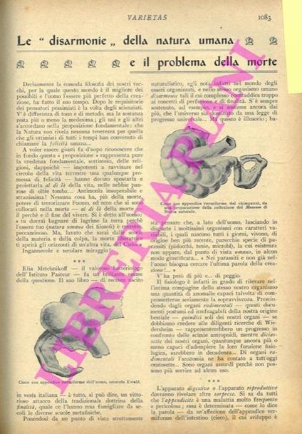 Le disarmonie della natura umana e il problema della morte - Cesare E. Aroldi - copertina