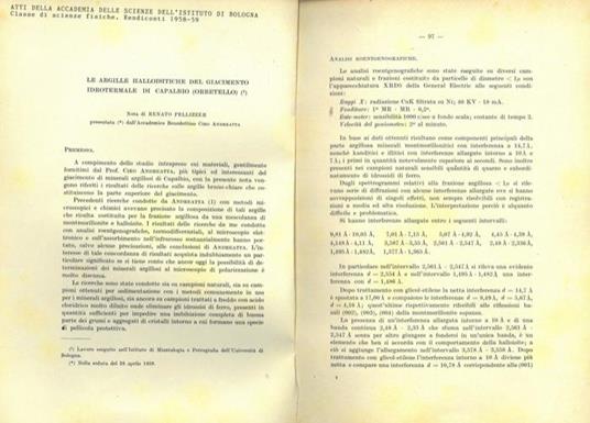 Le argille halloisitiche del giacimento idrotermale di Capalbio (Orbetello - Renato Pellizzer - copertina