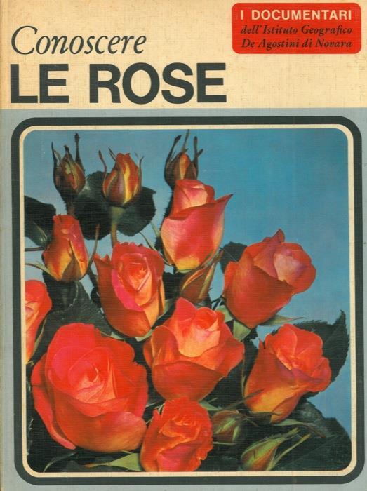 Le rose - Claudia Binelli - copertina