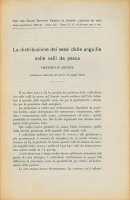 Libreria Piani
