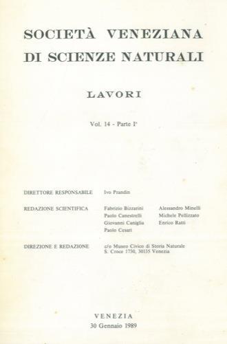Note su un ritrovamento preistorico a Campalton (Venezia) - Sergio Marsale - copertina
