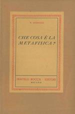 Che cosa è la metafisica