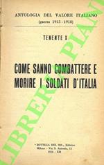 Come sanno combattere e morire i soldati d'Italia