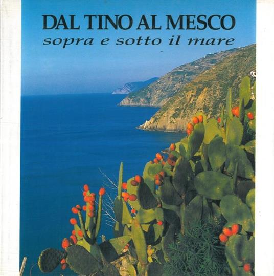 Dal Tino al Mesco sopra e sotto il mare - copertina
