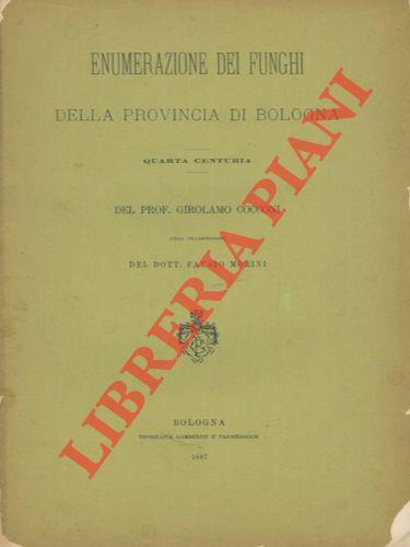 Libreria Piani