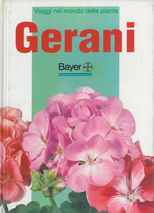 Gerani - Eliana Angiuli - copertina