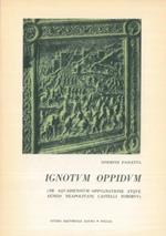 Ignotum Oppidum (De Aquadiensium oppugnatione atque aeneis neapolitani castelli foribus)