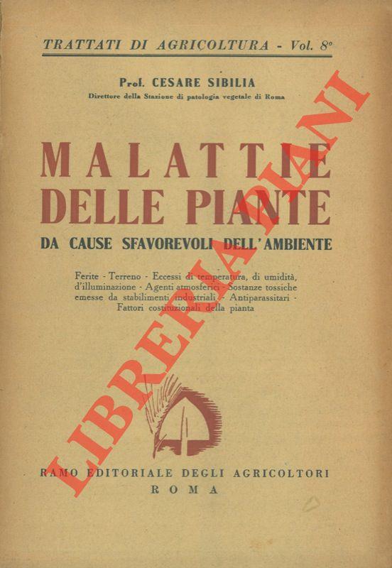 Libreria Piani