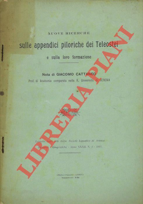 Libreria Piani