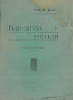 Piante coltivate in Sicilia