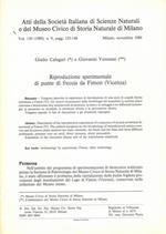 Riproduzione sperimentale di punte di freccia da Fimon (Vicenza)