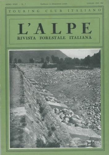 Su alcuni legnami brasiliani - copertina