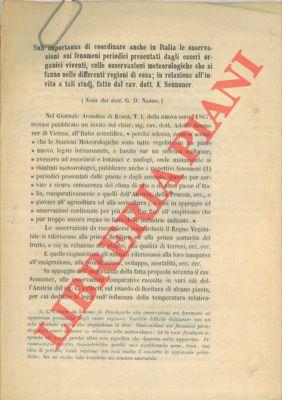 Libreria Piani