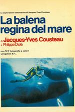 La balena regina del mare