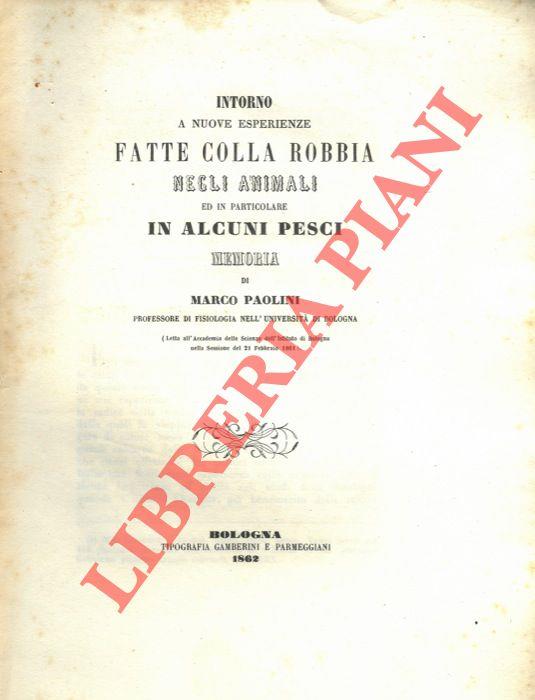 Libreria Piani