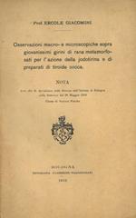 Osservazioni macro- e microscopiche sopra giovanissimi girini di rana metamorfosati per l'azione della jodotirina e di preparati di tiroide secca