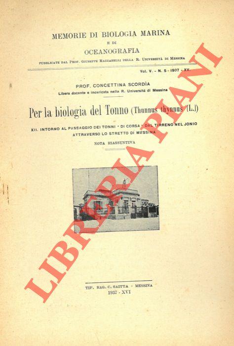 Libreria Piani