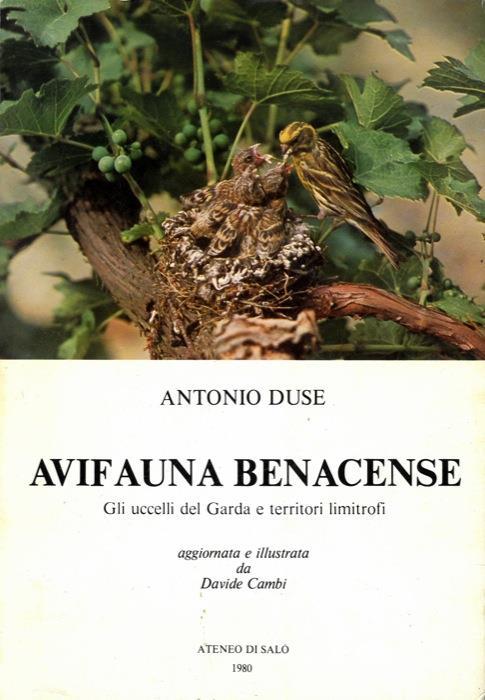 Avifauna benacense. Gli uccelli del Garda e territori limitrofi. Aggiornata e illustrata da Davide Cambi - Antonio Duse - copertina
