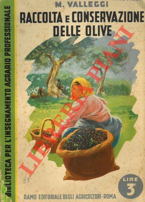 Libreria Piani