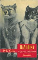 Banchisa. Il giorno senz'ombra