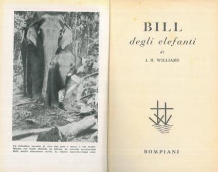 Bill degli elefanti - copertina