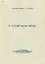 Le conchiglie fossili