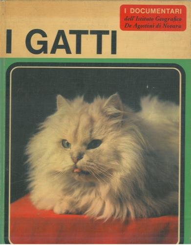 I gatti - Adriano Torregrossa - copertina