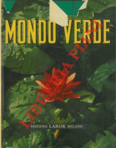 Libreria Piani