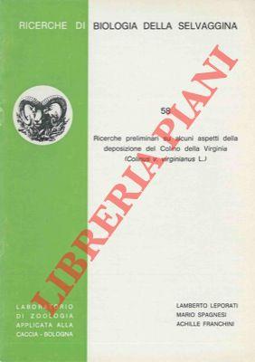 Libreria Piani