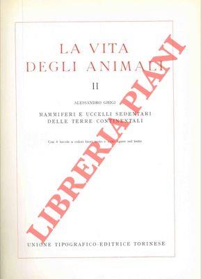 Libreria Piani