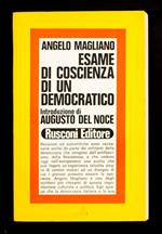 Esame di coscienza di un democratico