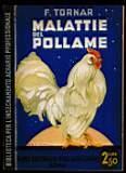 Malattie del pollame