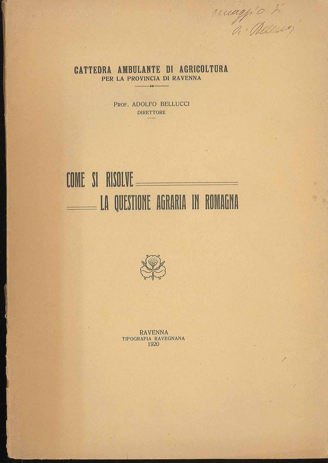 Libreria Trippini Sergio