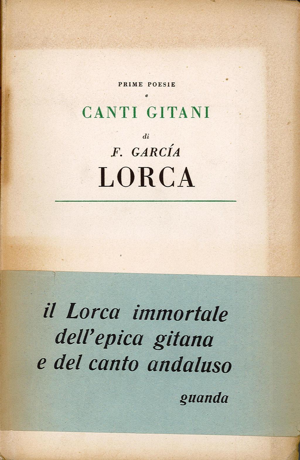 Libreria Trippini Sergio