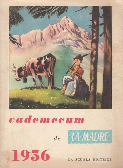 Vademecum La Madre - copertina
