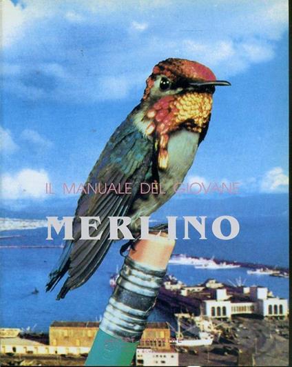 Il Manuale Del Giovane Merlino - copertina