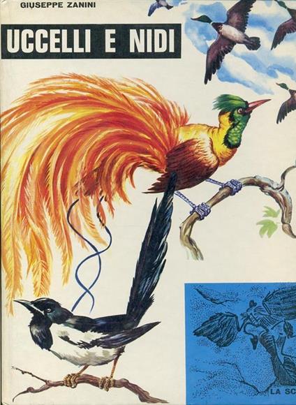 Uccelli E Nidi Illustrato - Giuseppe Zanini - copertina