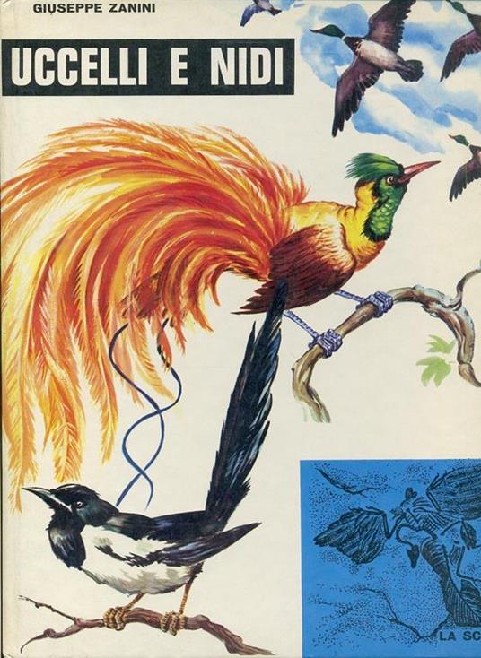 Uccelli E Nidi Illustrato - Giuseppe Zanini - copertina
